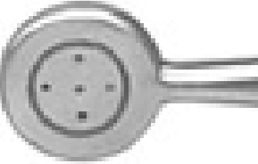 Corneal Graft Holding Forceps